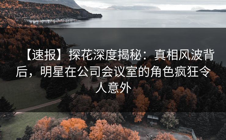 【速报】探花深度揭秘：真相风波背后，明星在公司会议室的角色疯狂令人意外